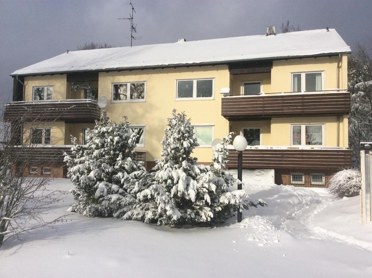 Ferienwohnung Harzblick 1 برونلاغ المظهر الخارجي الصورة